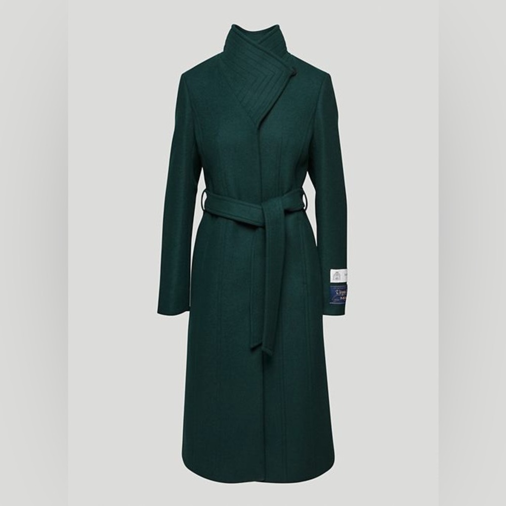 Babaton/Aritzia
THE CONNOR LONG COAT size small